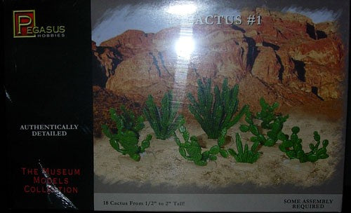 6507 PEGASUS CACTUS SET1